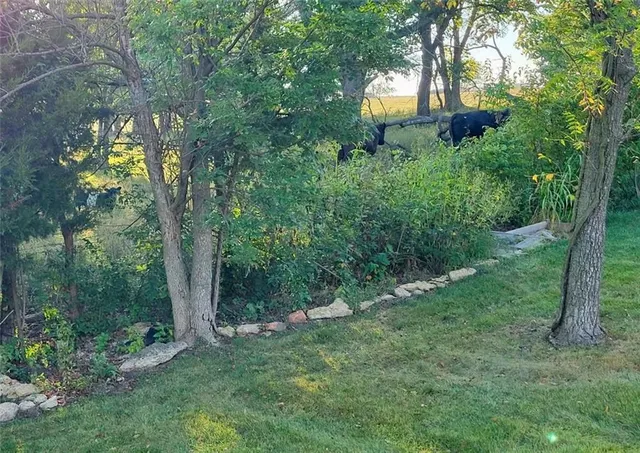 $454,900 | 2305 Windmill Drive, Platte City, MO 64079