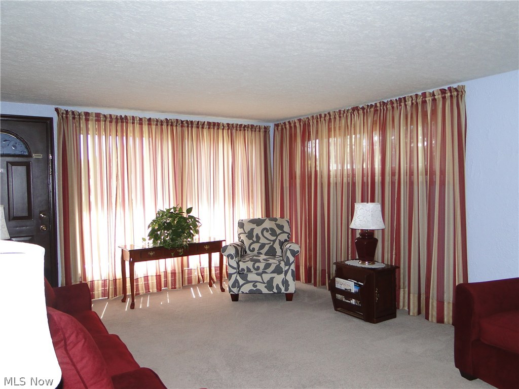 1153 Raff Road Southwest Canton, OH 44710 - Photo 2 of 16 Living Room featuring 2 good sized windows and a gas fireplace