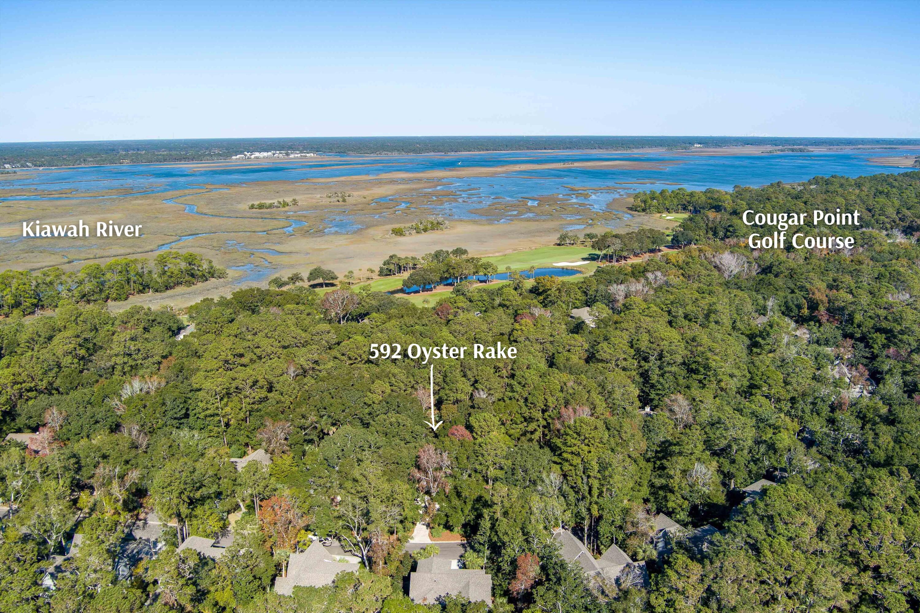 592 Oyster Rake Kiawah Island, SC 29455 - Photo 54 of 66 Additional Photo