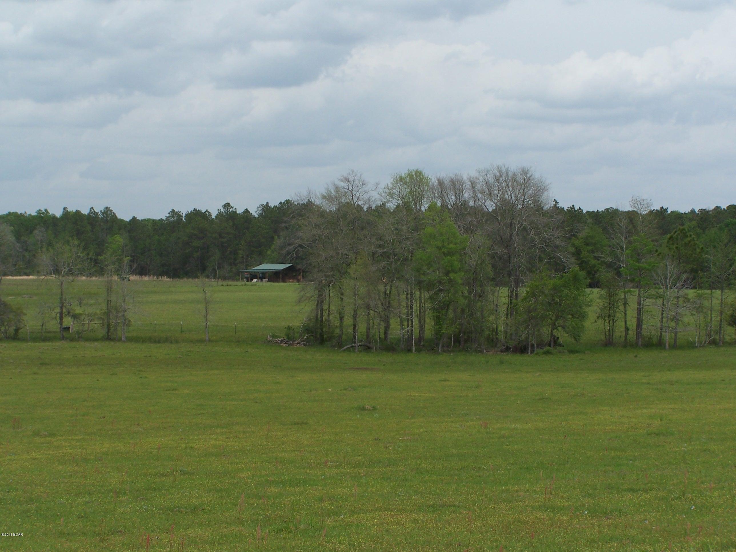 1059 Wilcox Crossing Road Bonifay, FL 32425 - Photo 65 of 70 Gallery Image 65