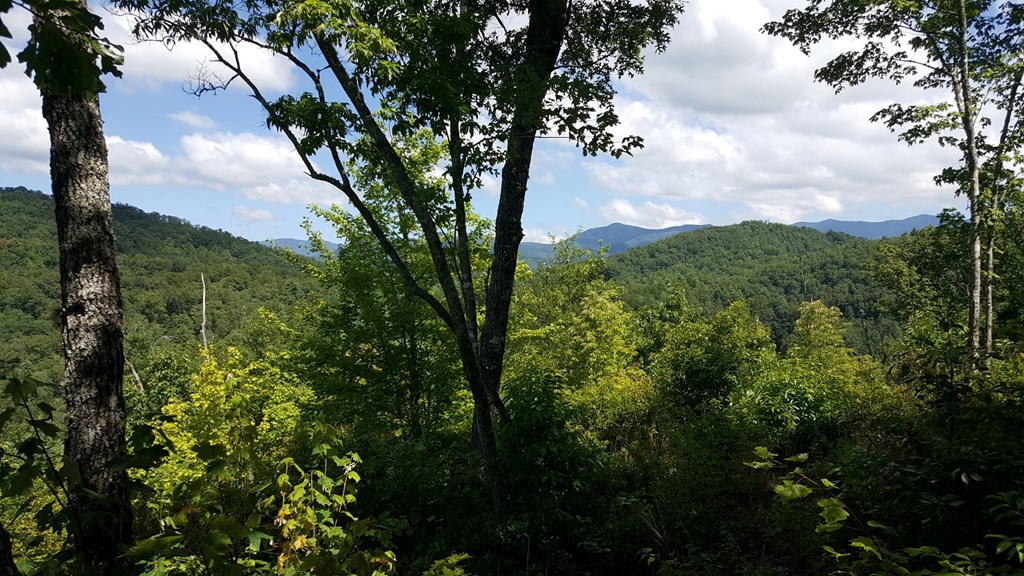 Lot#22 Tyler Ridge Road Murphy, NC 28906 - Photo 4 of 7