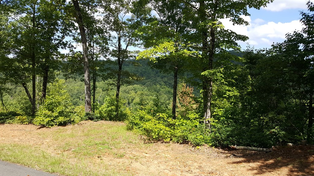 Lot#22 Tyler Ridge Road Murphy, NC 28906 - Photo 6 of 7