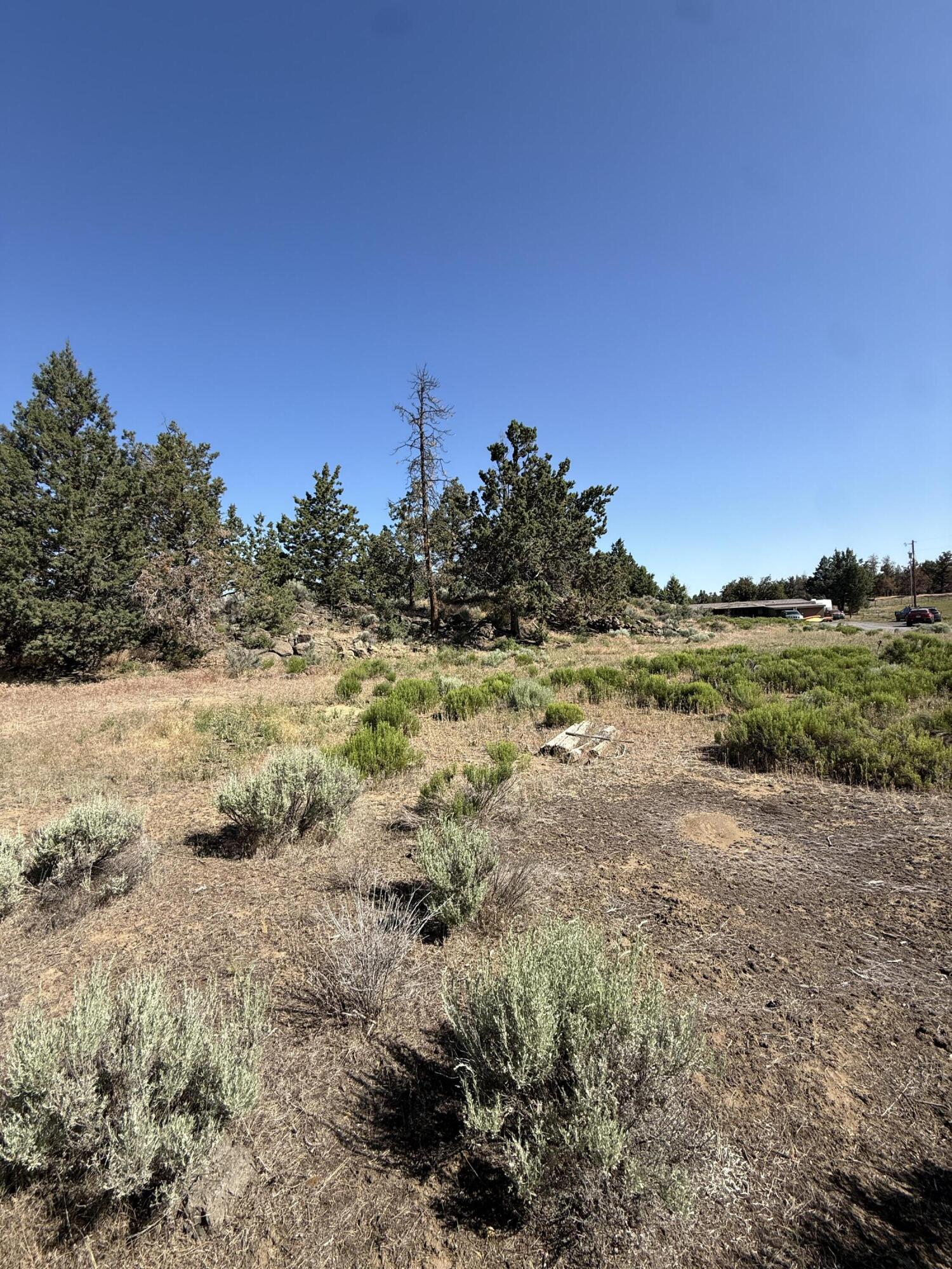 21710 McGilvray Road Bend, OR 97702 - Photo 5 of 7 a view of a field with trees in background
