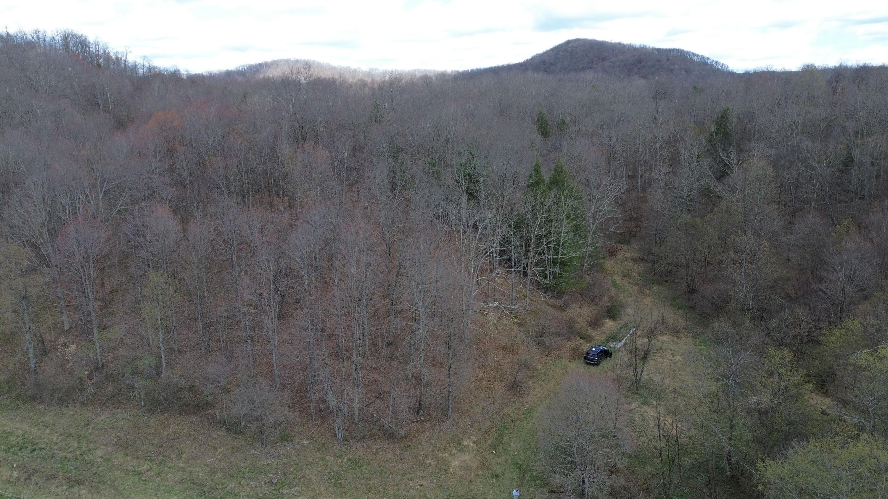 4042 Tioga Road Tioga, WV 26691 - Photo 4 of 7 image 802718