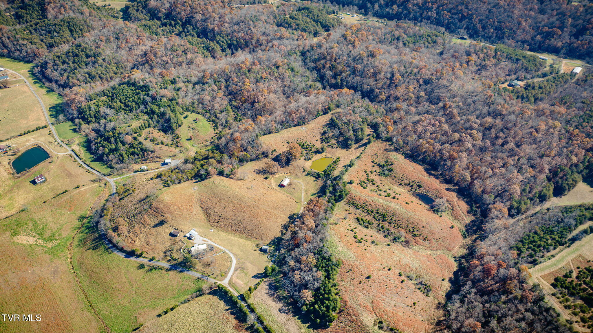 567 Longtown Road Bulls Gap, TN 37711 - Photo 48 of 73 108