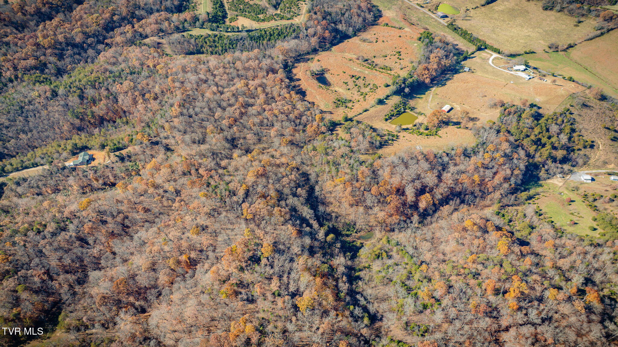 567 Longtown Road Bulls Gap, TN 37711 - Photo 50 of 73 110