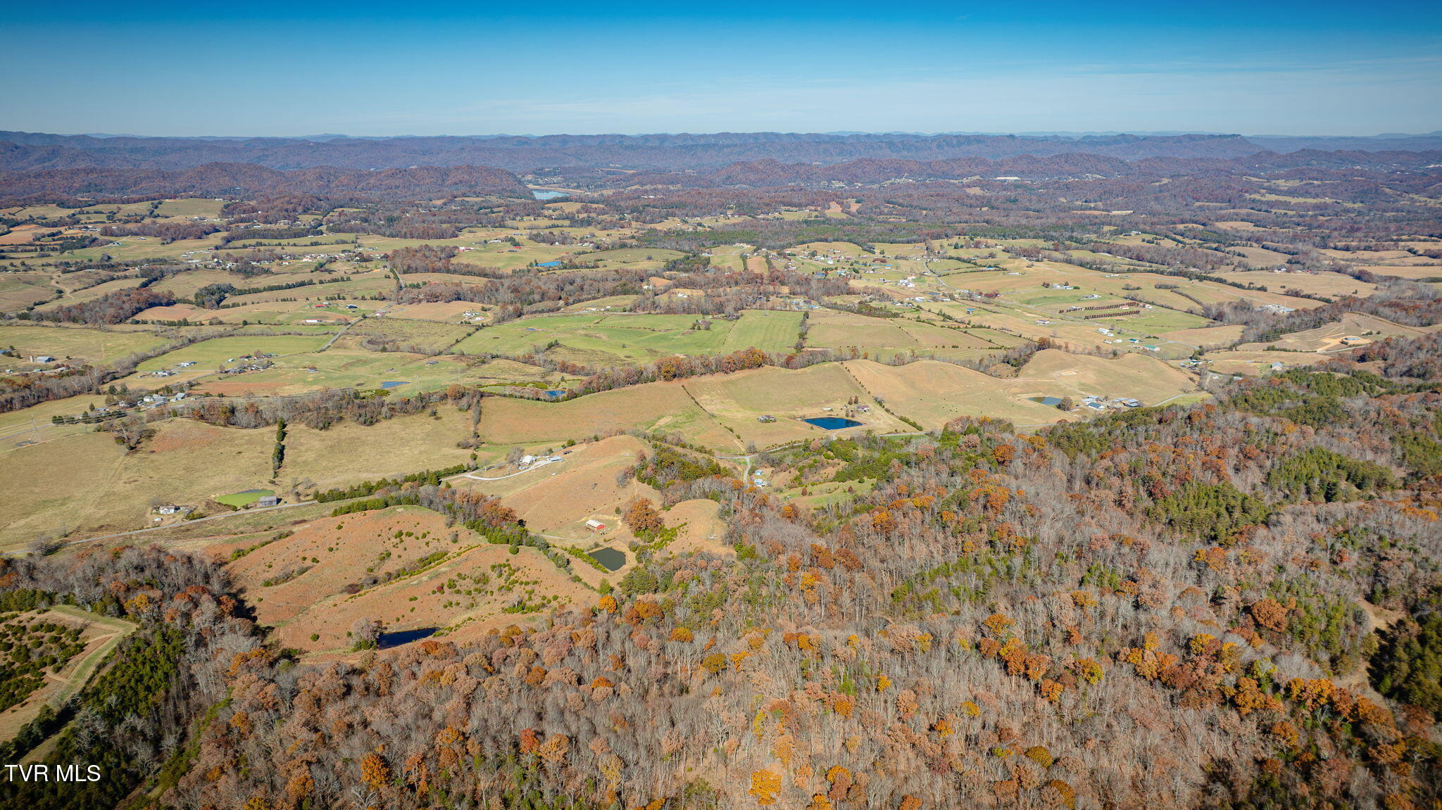 567 Longtown Road Bulls Gap, TN 37711 - Photo 54 of 73 113