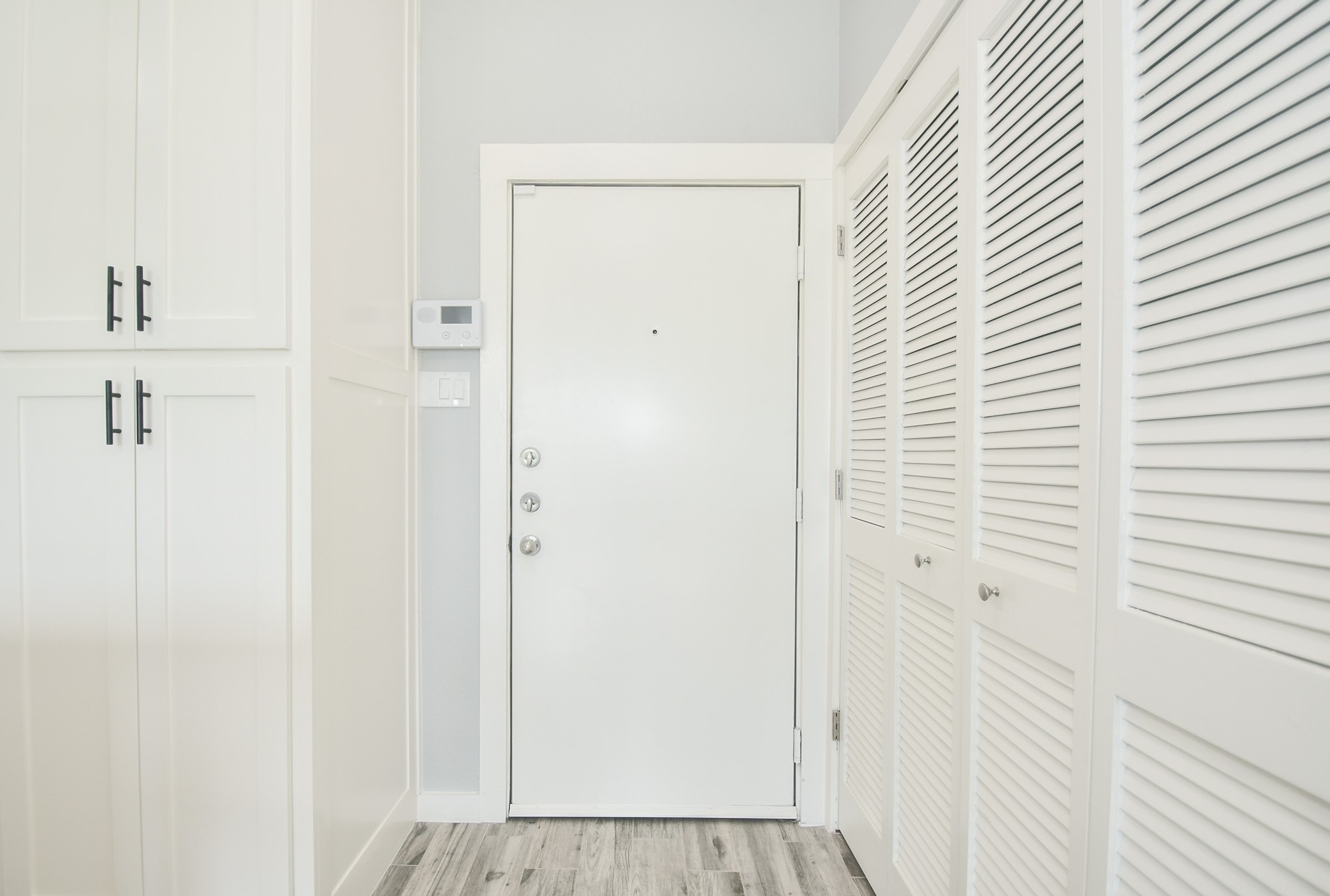 1441 East Street, Unit 302 Houston, TX 77007 - Photo 5 of 32 Contemporary Finishes Built-in Pantry on Left