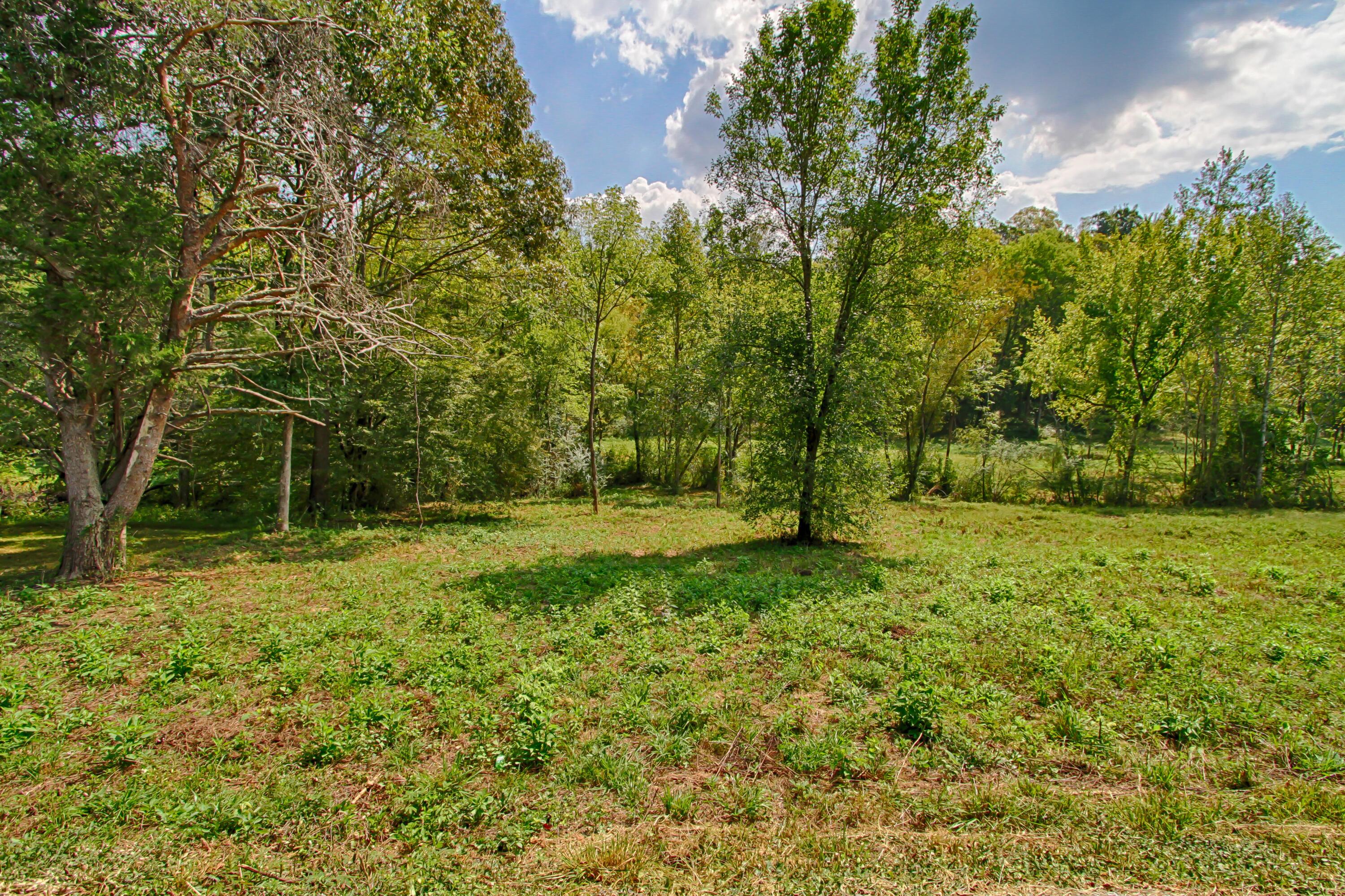 Lot 6 West Wolf Valley Road Clinton, TN 37716 - Photo 3 of 4 IMG_0425_HDR