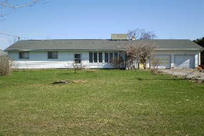 1100 Dildine Road Ionia, MI 48846 - Photo 1 of 1 Primary Photo