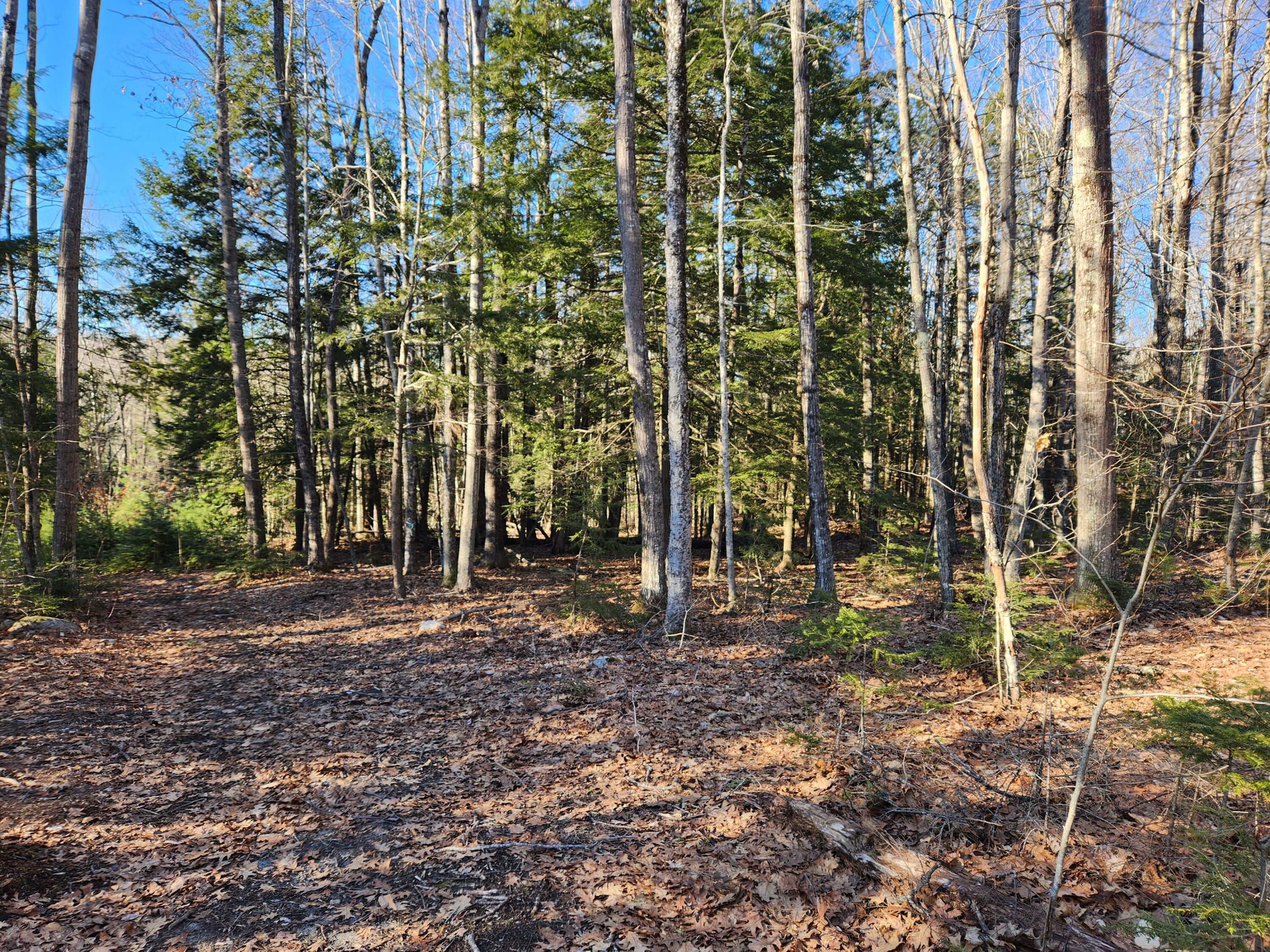 55 A A To Z Road Greene, ME 04236 - Photo 43 of 54 20240308_152145