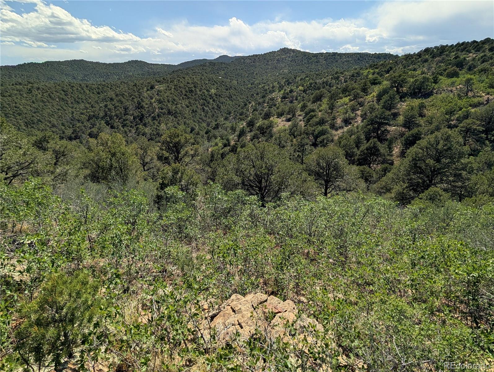 Fishers Peak Ranch Trinidad, CO 81082 - Photo 16 of 34