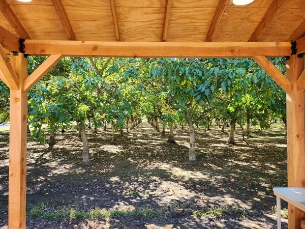 a view of a backyard