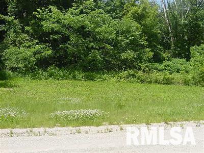 45 Deer Run Road Fenton, IL 61251 - Photo 1 of 1 Gallery Image 1
