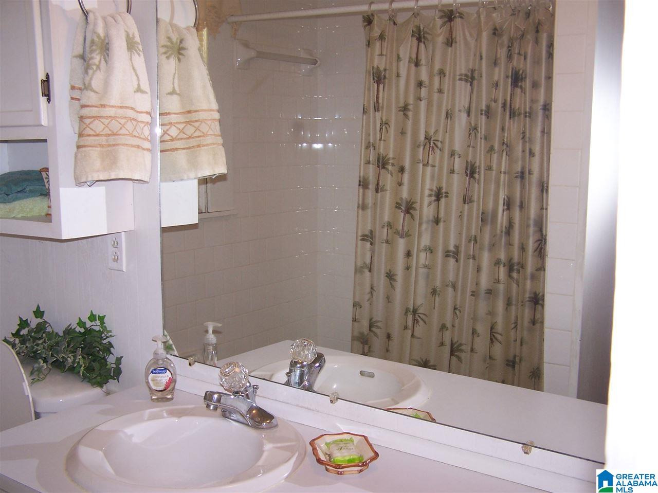 769 Chandler Mountain Road Steele, AL 35987 - Photo 17 of 41