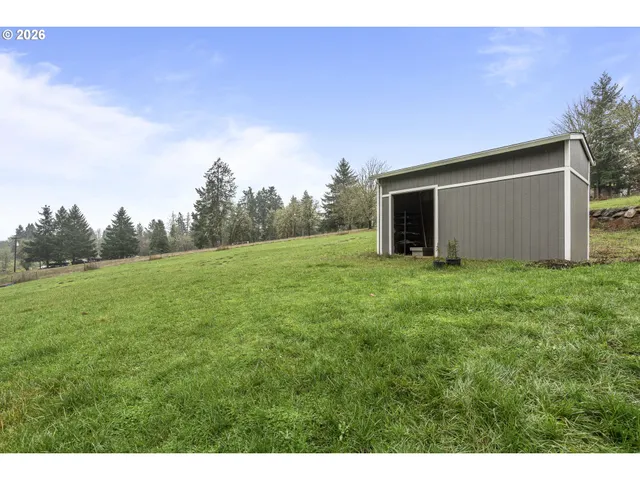 a view of a backyard with potted plants and large trees