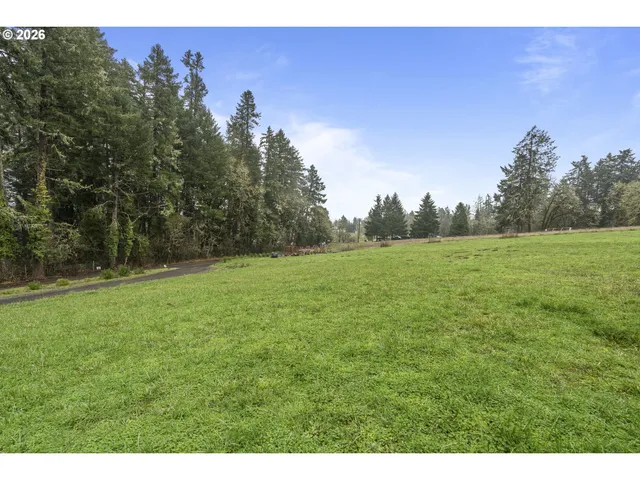 a view of a green field with trees in the background