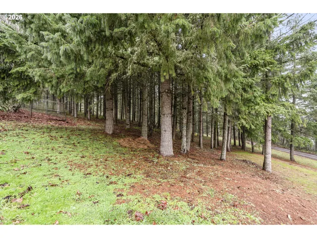 a backyard of a house with lots of green space