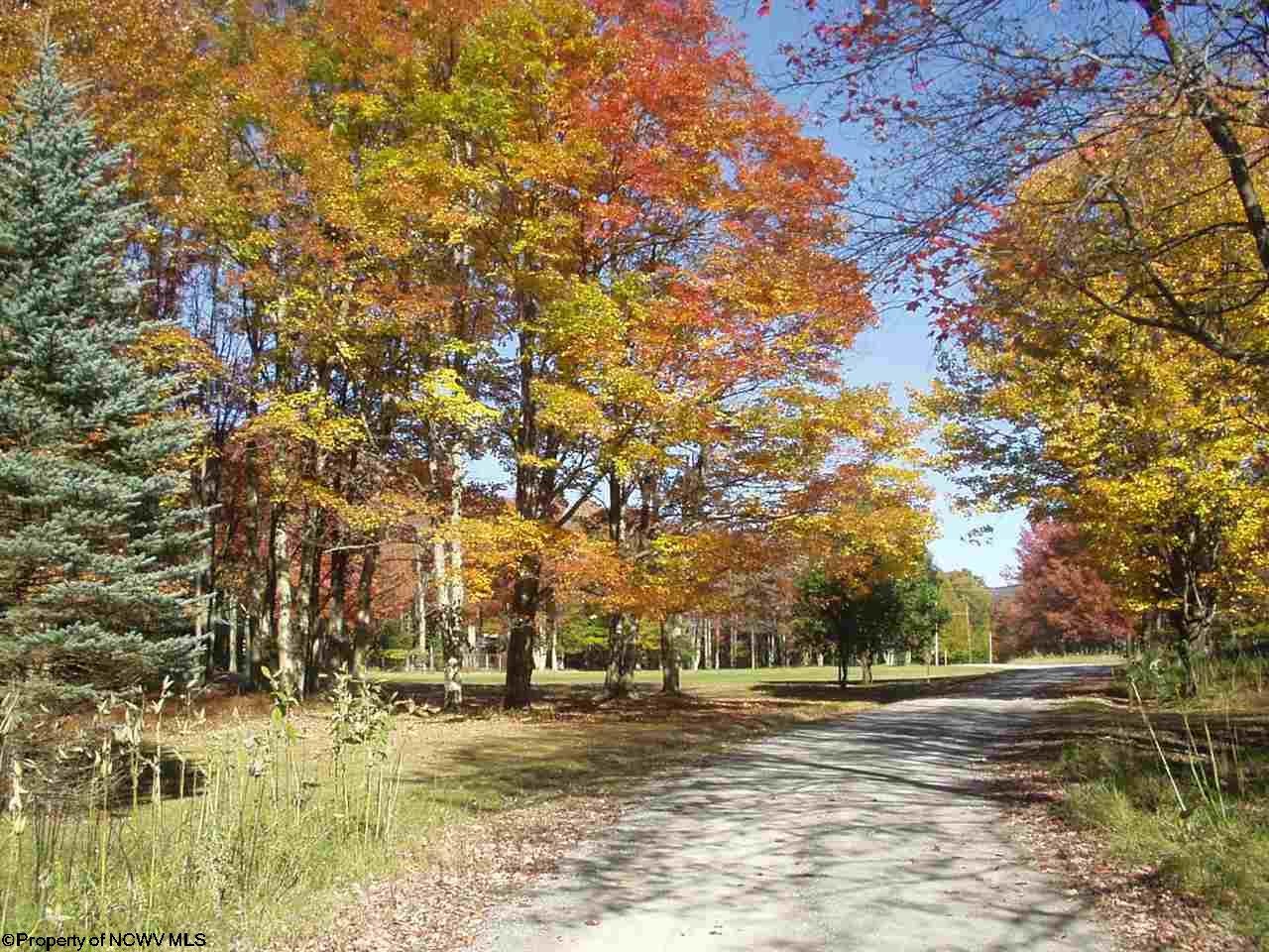 24 Lakeview Road Davis, WV 26260 - Photo 2 of 18 Gallery Image 2