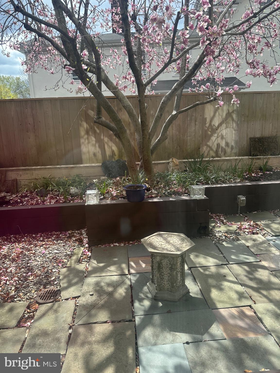1 Markham Road, Unit 1D Princeton, NJ 08540 - Photo 29 of 52 Blossoming tranquility in a serene garden.