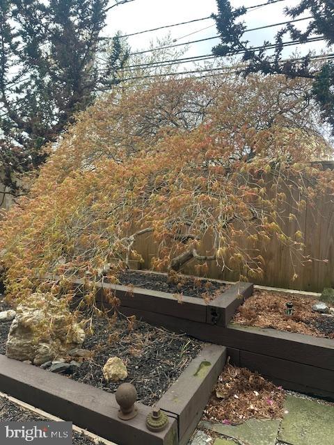 1 Markham Road, Unit 1D Princeton, NJ 08540 - Photo 52 of 52 Graceful weeping japanese maple