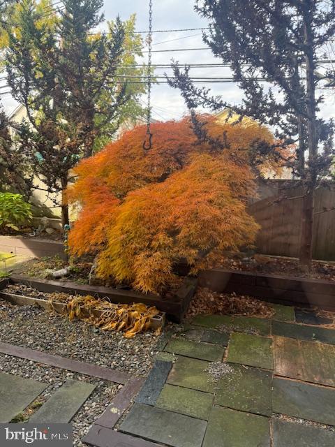 1 Markham Road, Unit 1D Princeton, NJ 08540 - Photo 9 of 52 Gorgeous specimen japanese red leaf maple