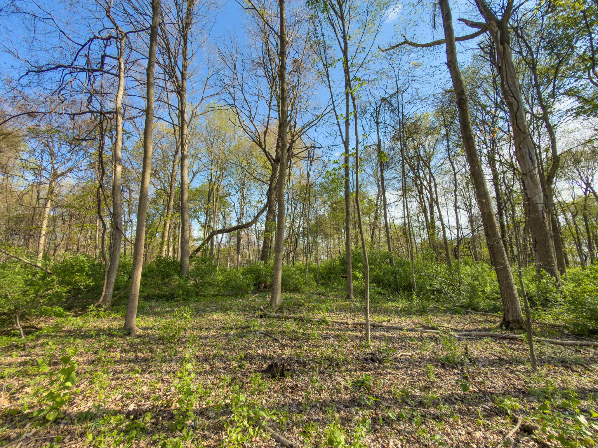 9874 Cincinnati-Zanesville Road Southwest Amanda, OH 43102 - Photo 34 of 50 cinci-zane rd sw-34