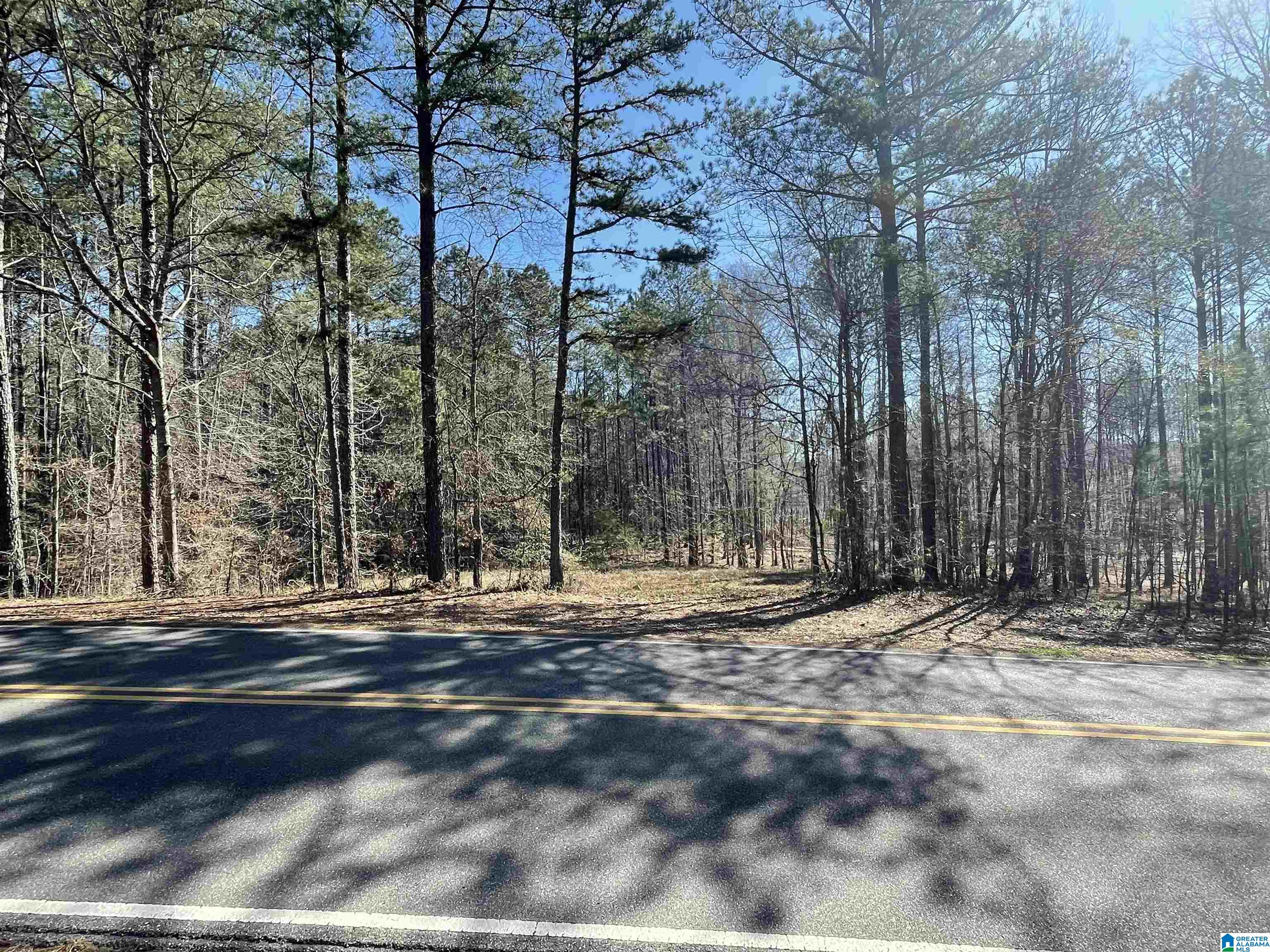 0 Hughes Road, Unit 5 Columbiana, AL 35051 - Photo 2 of 2