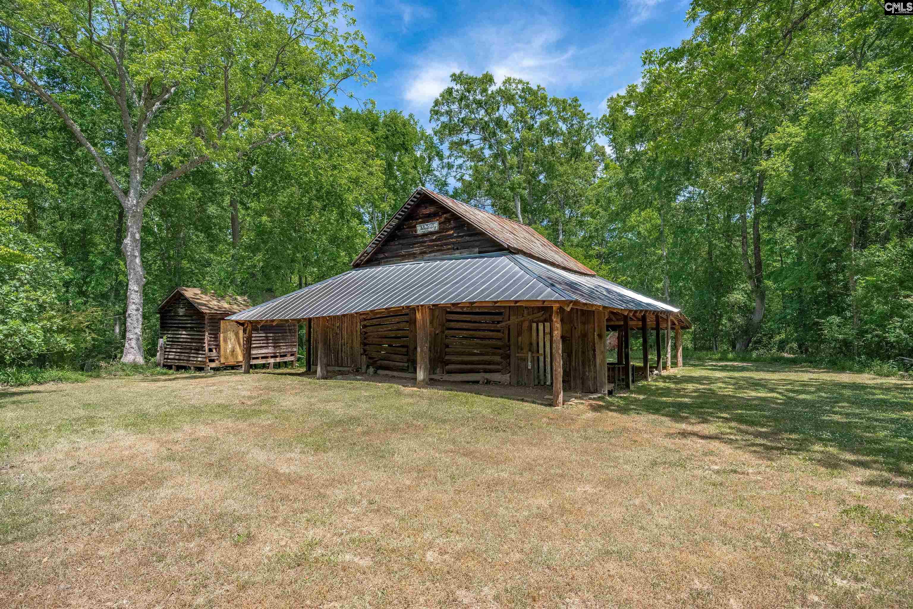 157 Hiller Road Chapin, SC 29036 - Photo 10 of 17