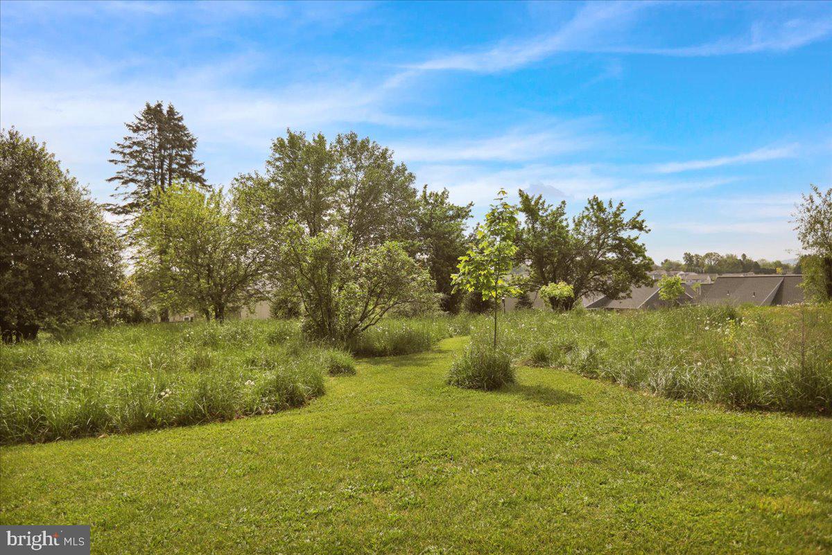 866 Kimmerlings Road Lebanon, PA 17046 - Photo 29 of 33 Room to grow