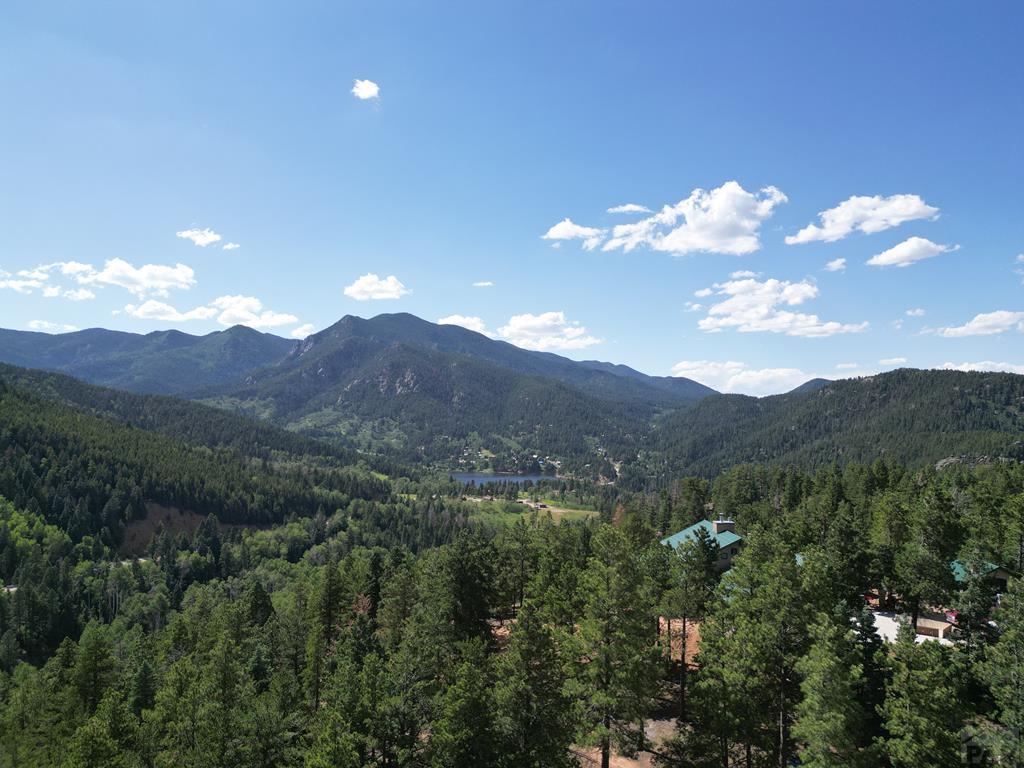 9783 Highway 165 Rye, CO 81069 - Photo 34 of 52 Gallery Image 34