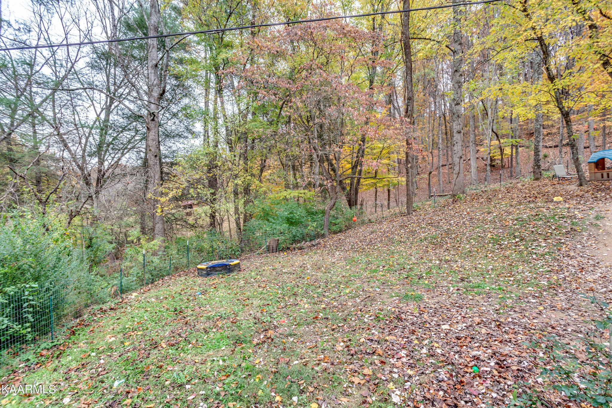 2018 Rhea Road Knoxville, TN 37920 - Photo 25 of 28 a backyard of a house with large trees and plants