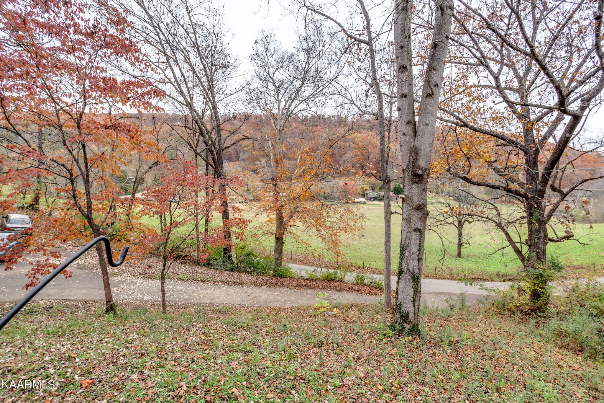 2018 Rhea Road Knoxville, TN 37920 - Photo 27 of 28 a backyard of a house with a trees
