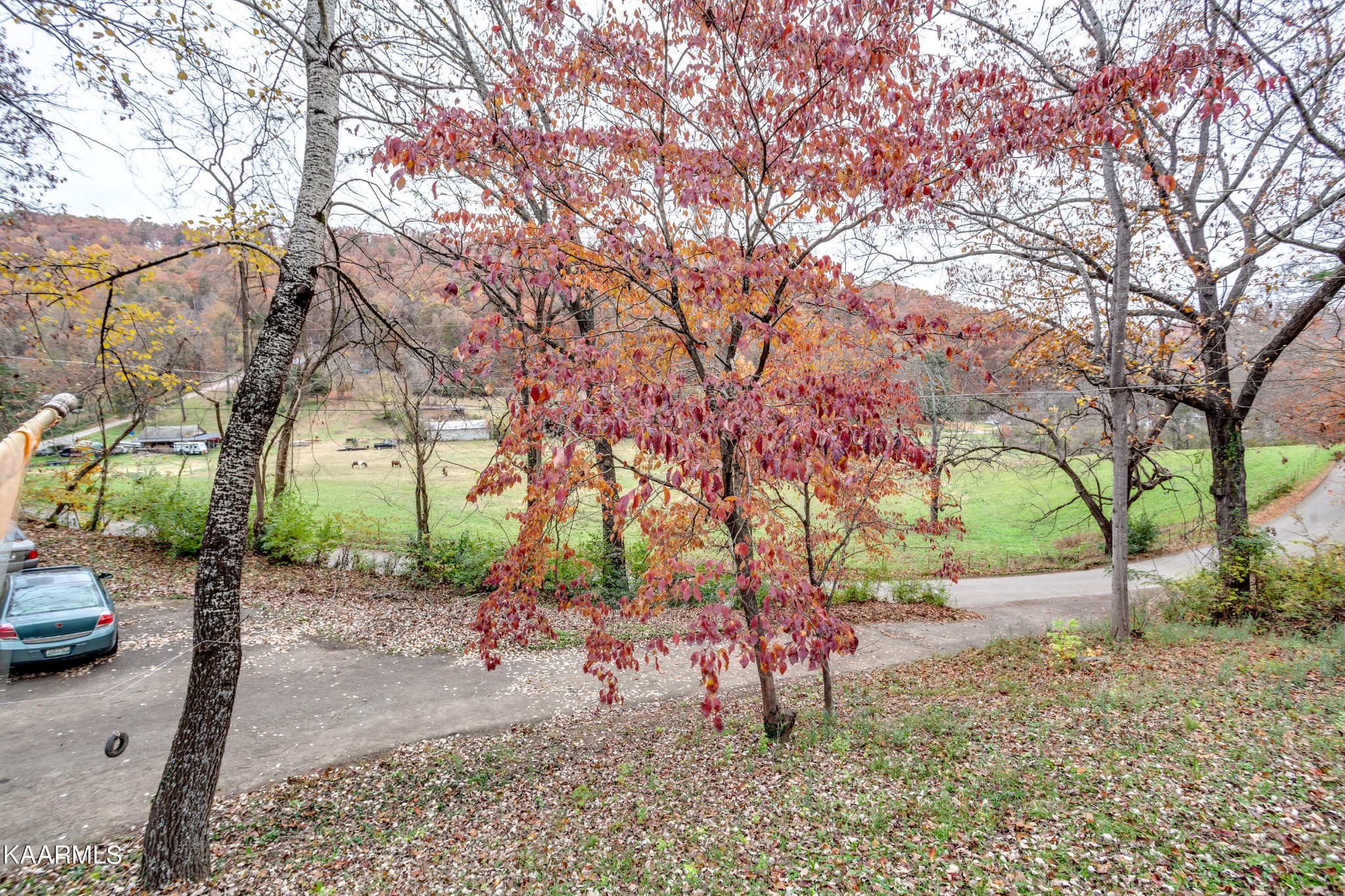 2018 Rhea Road Knoxville, TN 37920 - Photo 28 of 28 a view of a yard with a tree