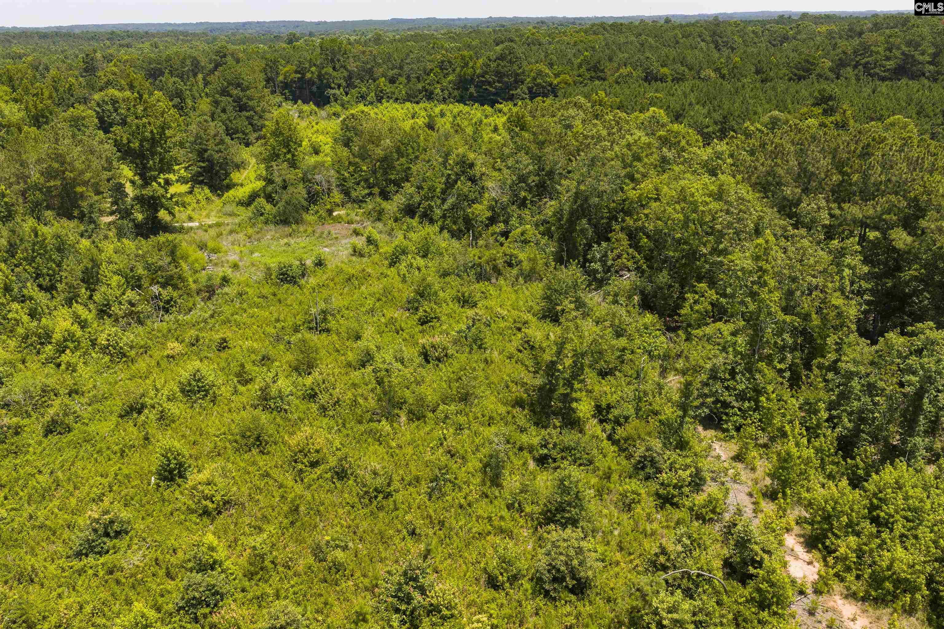Stevens Road Saluda, SC 29138 - Photo 23 of 23