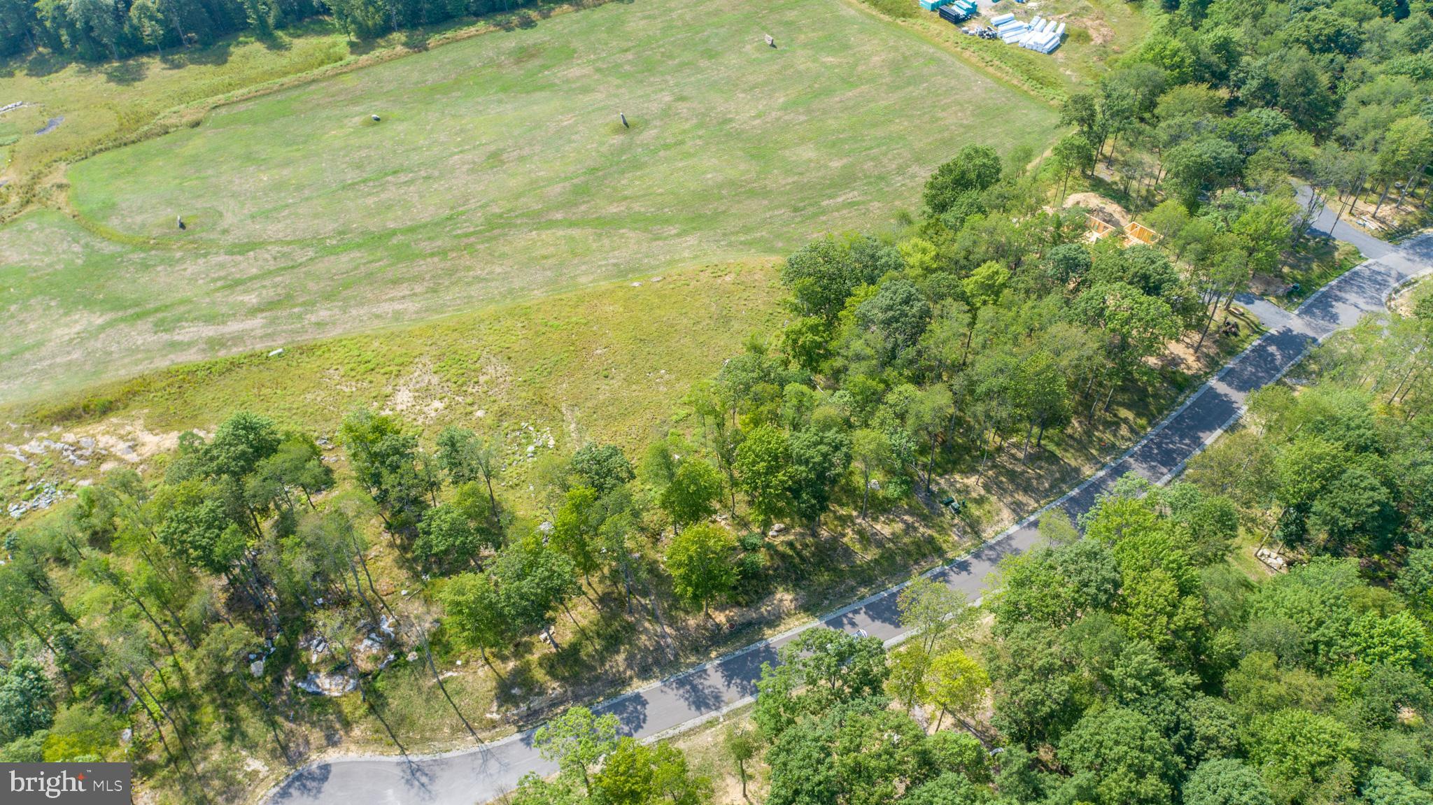 6 Irwin Way Oakland, MD 21550 - Photo 11 of 13 a view of a big yard with lots of bushes