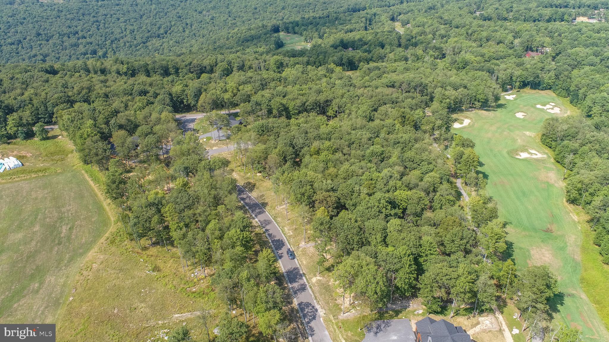 6 Irwin Way Oakland, MD 21550 - Photo 10 of 13 a view of a forest with a street