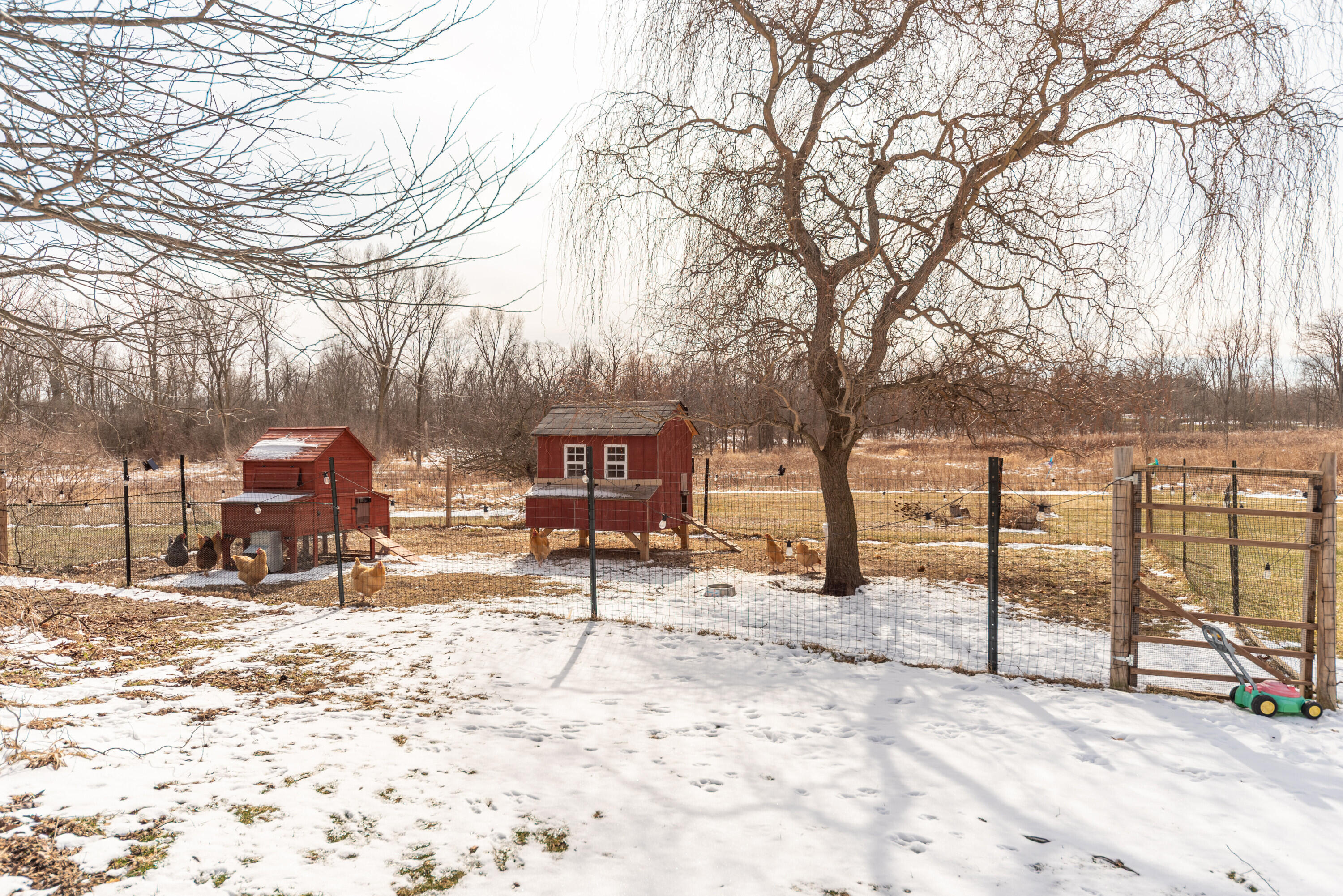 5215 Vaughn Road Dexter, MI 48130 - Photo 11 of 66 010_47