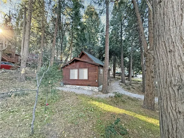 a view of a backyard with table and chairs under a large tree