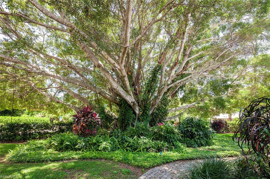 122 Caribbean Road Naples, FL 34108 - Photo 20 of 31 a view of a garden with plants and large trees