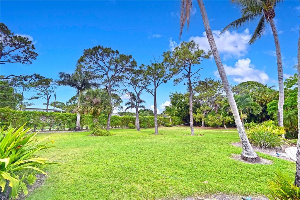 122 Caribbean Road Naples, FL 34108 - Photo 26 of 31 a view of a park with large trees