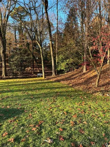 a view of a large yard