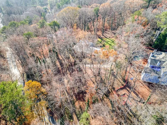 a view of a yard with a tree