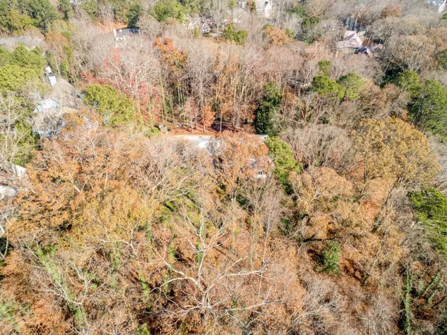 a view of a forest with trees
