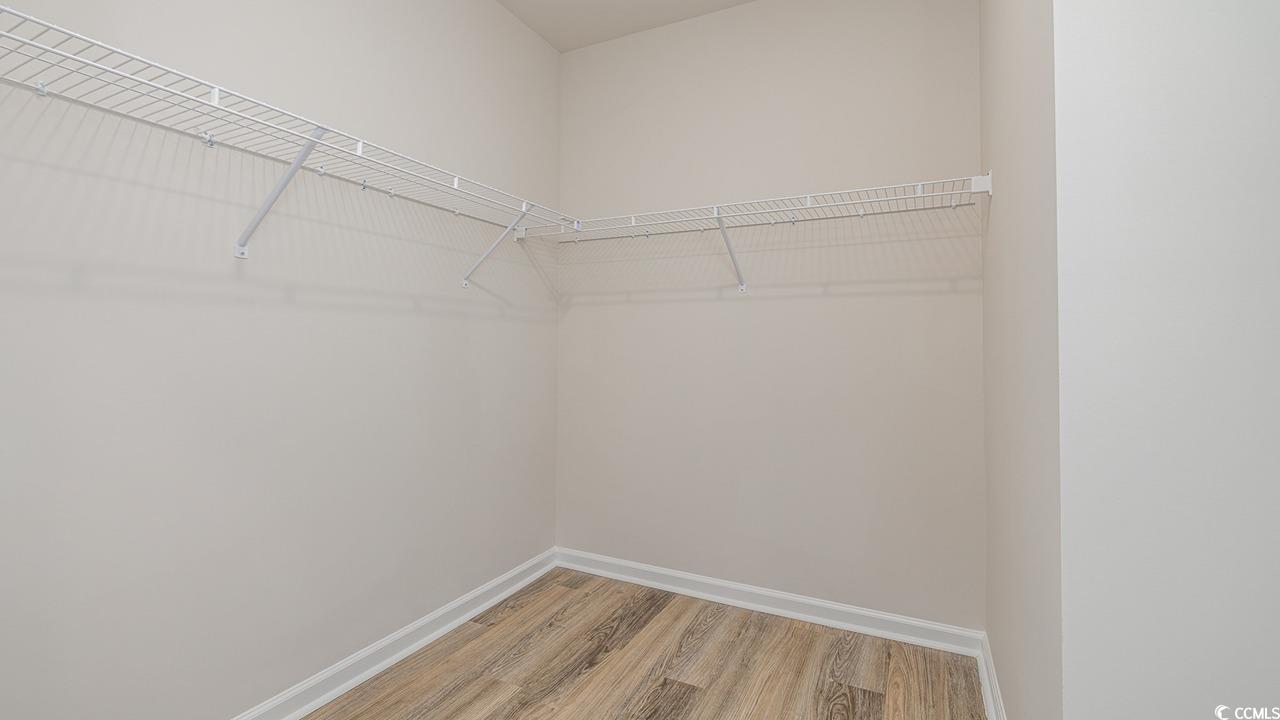 303 Ridley Street Longs, SC 29568 - Photo 18 of 31 Walk in closet featuring light wood-type flooring