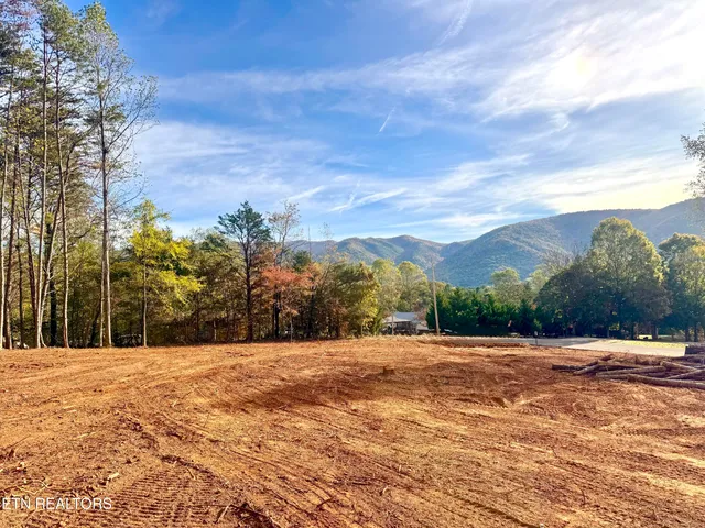 $90,000 | Lot 3 Peachie Way, Cosby, TN 37722