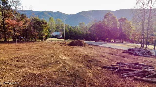 $90,000 | Lot 3 Peachie Way, Cosby, TN 37722