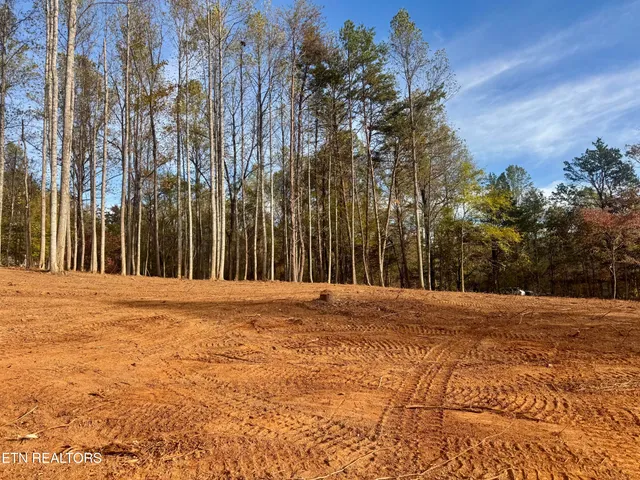 $90,000 | Lot 3 Peachie Way, Cosby, TN 37722