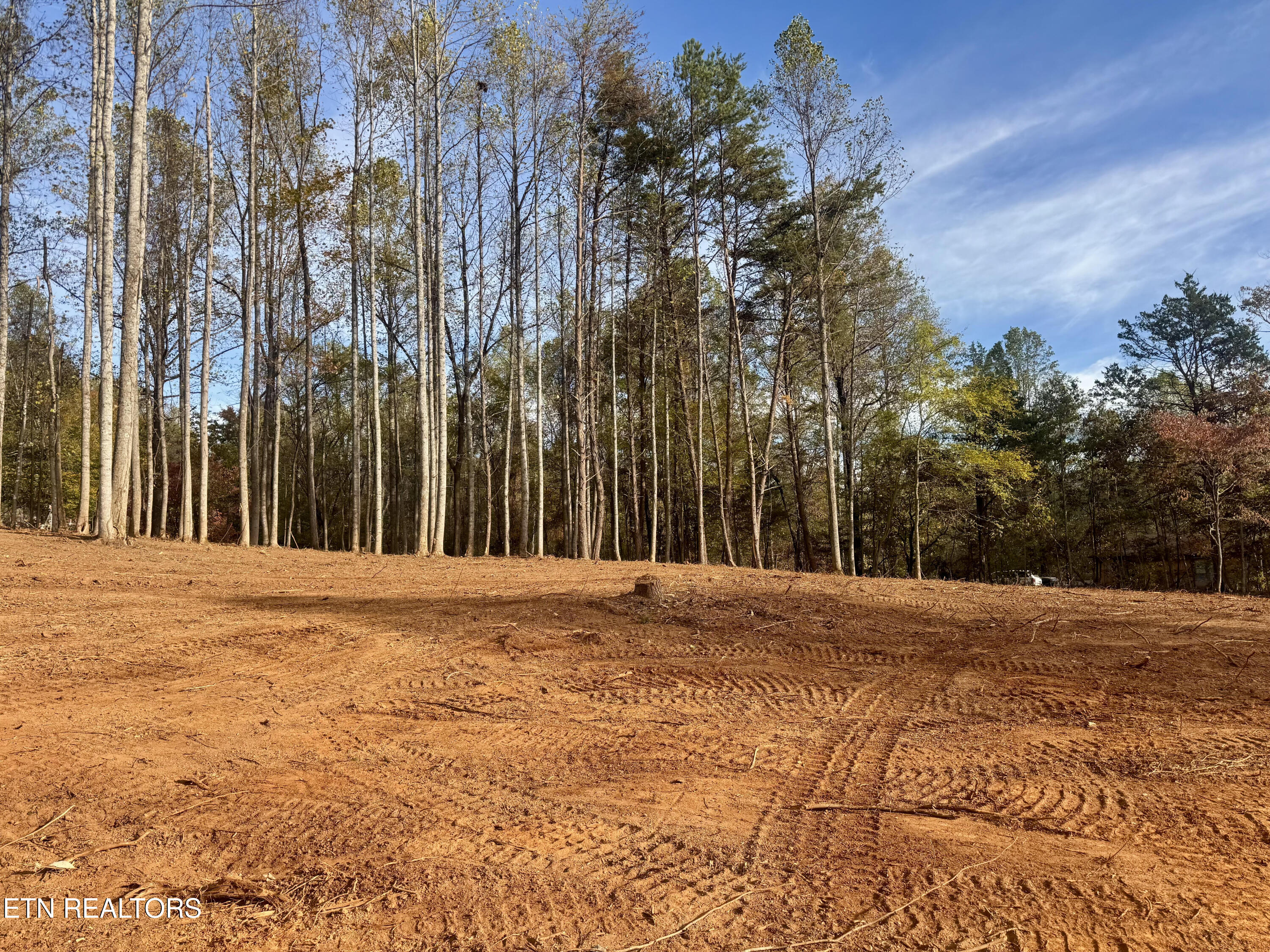 Lot 3 Peachie Way Cosby, TN 37722 - Photo 2 of 12 lot3
