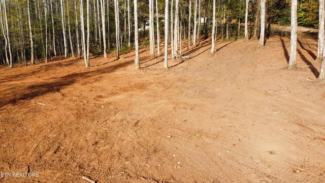 $90,000 | Lot 3 Peachie Way, Cosby, TN 37722